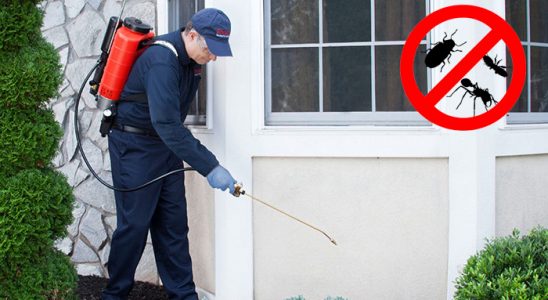 Karesi Karınca İlaçlama böcek ilaçlama ve haşere kontrolü — ilaclama-tr.com